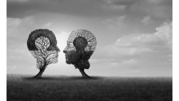 A black and white photograph of two trees sculpted to look like two heads talking to one another against a stormy sky